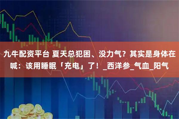 九牛配资平台 夏天总犯困、没力气？其实是身体在喊：该用睡眠「充电」了！_西洋参_气血_阳气