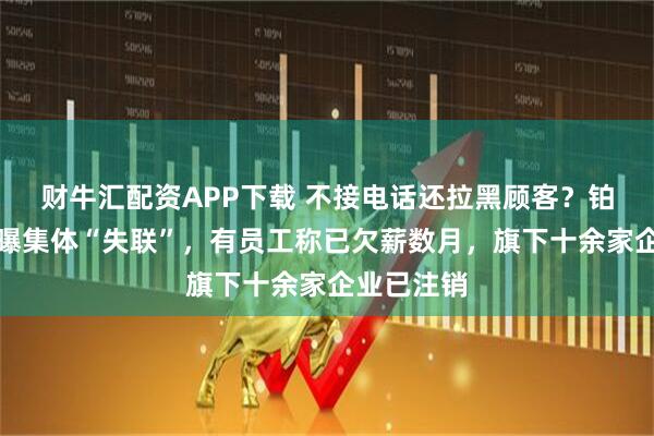 财牛汇配资APP下载 不接电话还拉黑顾客？铂爵旅拍被曝集体“失联”，有员工称已欠薪数月，旗下十余家企业已注销