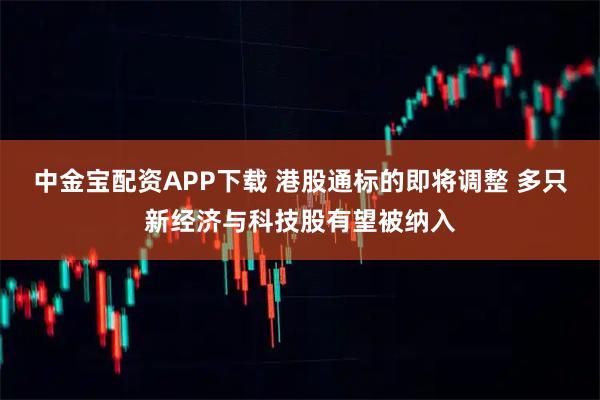 中金宝配资APP下载 港股通标的即将调整 多只新经济与科技股有望被纳入